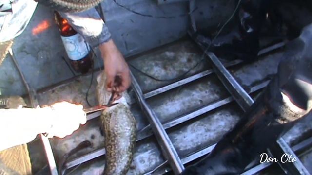 Рыбалка на Севере. Оз.Пясино. р.Норилка.Налим. Муксун. Окунь. архив 2009г. Fishing in the north. смотреть онлайн