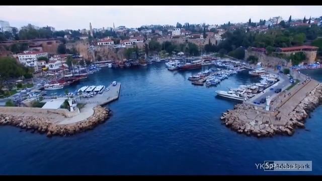 Пересадка методом DHI и FUE в клинике Салусс смотреть онлайн