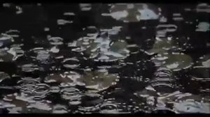 Никто не знает на перед...