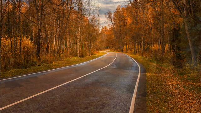 Armand Amar The Bishop's Complaint смотреть онлайн