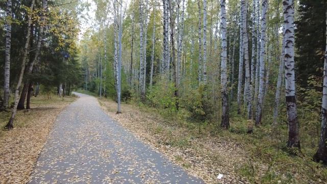 Черняевский Лес г Перми смотреть онлайн