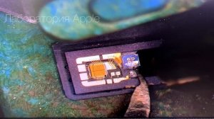 iPhone 11 ремонт Face ID .