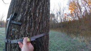 Ступени для поднятия на дерево для охоты с луком с тристенда