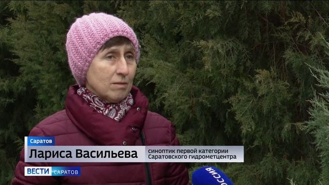 Небольшой снег и дожди ожидаются в Саратовской области смотреть онлайн