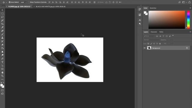 HOW TO INVERT COLORS IN PHOTOSHOP