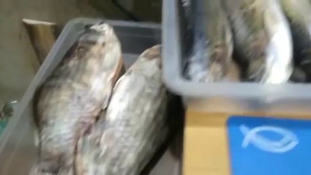 Рыбный день. смотреть онлайн
