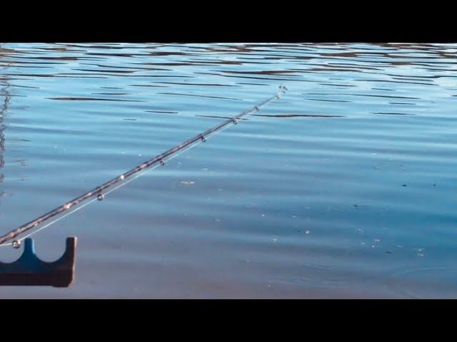 Рыбалка на ОКЕ вечером / ХОРОШИЙ клев на Фидер смотреть онлайн