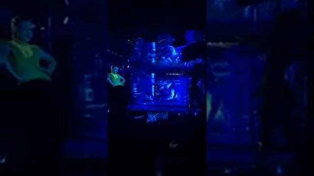 Уфа ,ресторан Большой смотреть онлайн