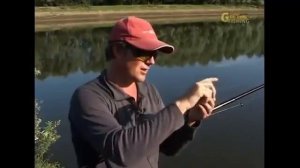 Болонская удочка от А до Я