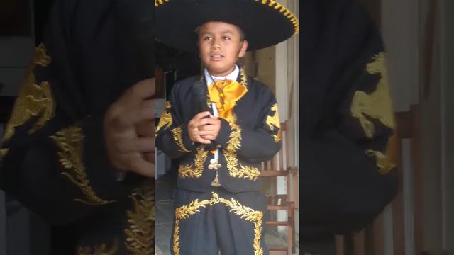Mariachi trompeta de oro .Adán rodriguez смотреть онлайн