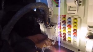 Форд Куга замена салонного фильтра.Снимаем бардачок.