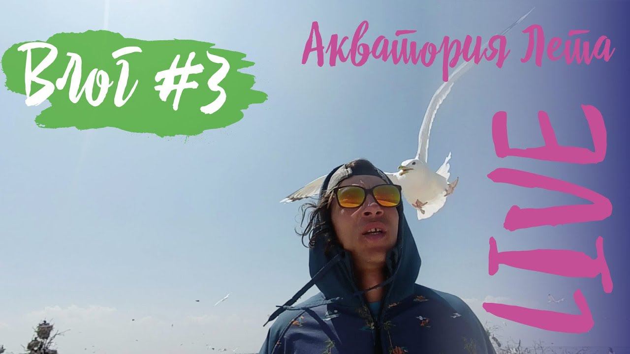 Влог #3: серферы вышли в город в поисках девчонок, Андрея атаковала чайка, поездка на Птичий Остров, смотреть онлайн