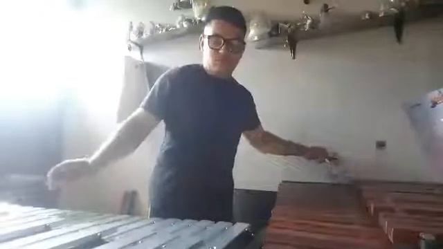 Exile-Taylor Swift ft. Bon Iver (Glockenspiel-Marimba cover) смотреть онлайн