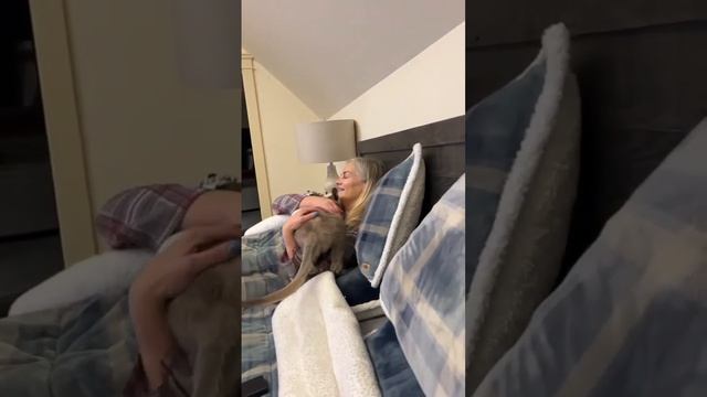 video-1681710740 смотреть онлайн