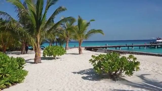 #shorts Отдых на Мальдивах 2022 - На атолле Мальдивских островов Раа смотреть онлайн