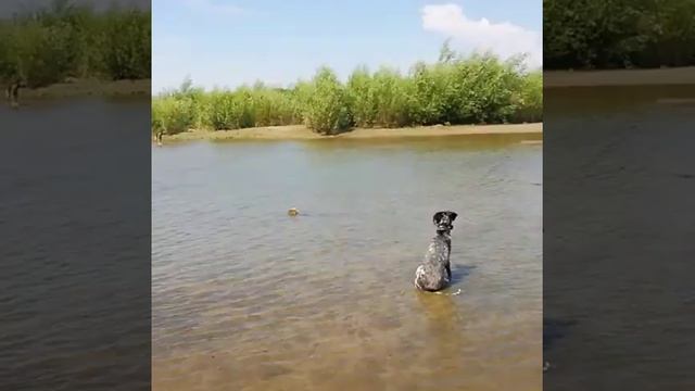 Лето 22.ЮМР. ВОДНЫЕ ПРОЦЕДУРЫ смотреть онлайн