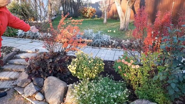 ЦВЕТНИК В НОЯБРЕ - последние всполохи осени.