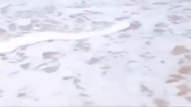 — Если из нашего дома уйдёт тёща, вслед за ней уйду и я! - сказал Степан. Душевные истории из жизни смотреть онлайн