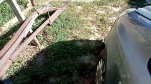 Обзор опель корса д 2008г.в. 1литр, трехдверный