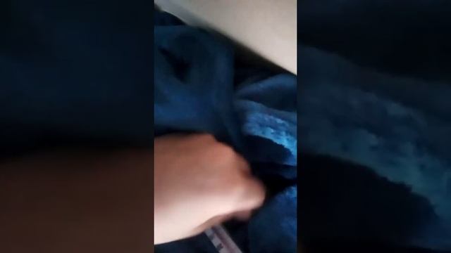 Выращиваю цыплят смотреть онлайн