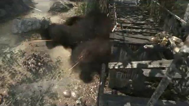 Jungle Madness Part 2 смотреть онлайн