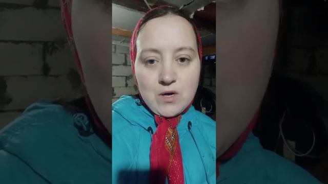 Голштинизированная Джерси! смотреть онлайн