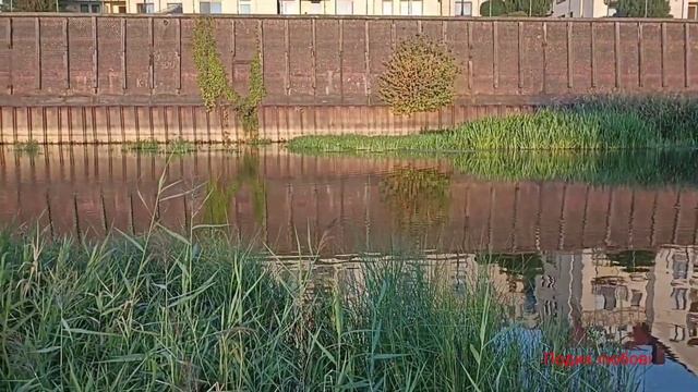 Думка Т Г Шевченко Тече вода в синє море смотреть онлайн
