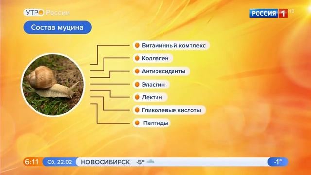 врач-косметолог ИПХиК Иконникова Евгения Владимировна в эфире программы "Утро России" от 22.02.20 смотреть онлайн