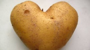 Белорусская народная песня в обработке Алексея Туренкова "Бульба"