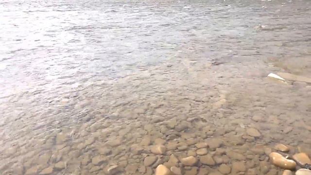 Бистриця Надвірнянська смотреть онлайн