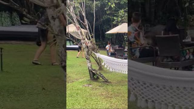 Венесуэла. Venezuela. 委内瑞拉。 смотреть онлайн