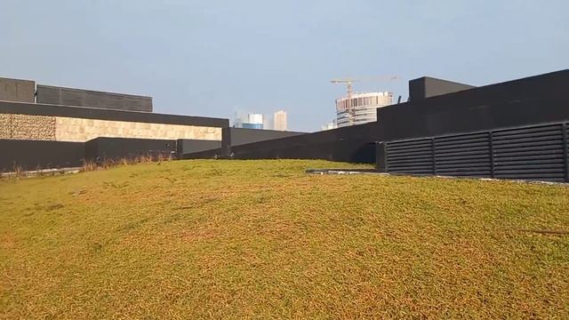 Самый красивый парк Кувейта часть 1. Сибирская арабка? #кувейт #арабы #парк смотреть онлайн