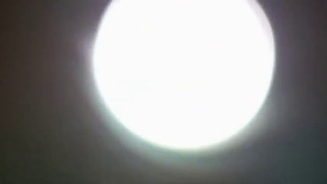 Самые опасные хищники Африки смотреть онлайн