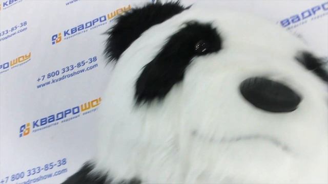 КОСТЮМ ПАНДА НАДУВНАЯ / Смешные панды / Bear panda inflatable costume смотреть онлайн