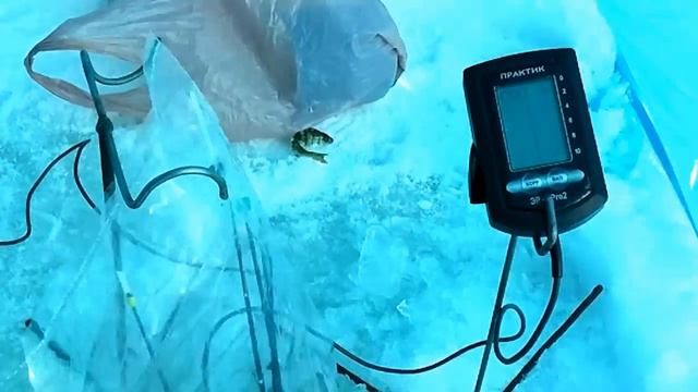 зимняя рыбалка.mp4 смотреть онлайн