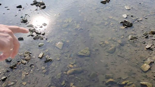 Прогулка по пляжу 15.10.22 || Спокойное, теплое море || Прощанье с морем смотреть онлайн