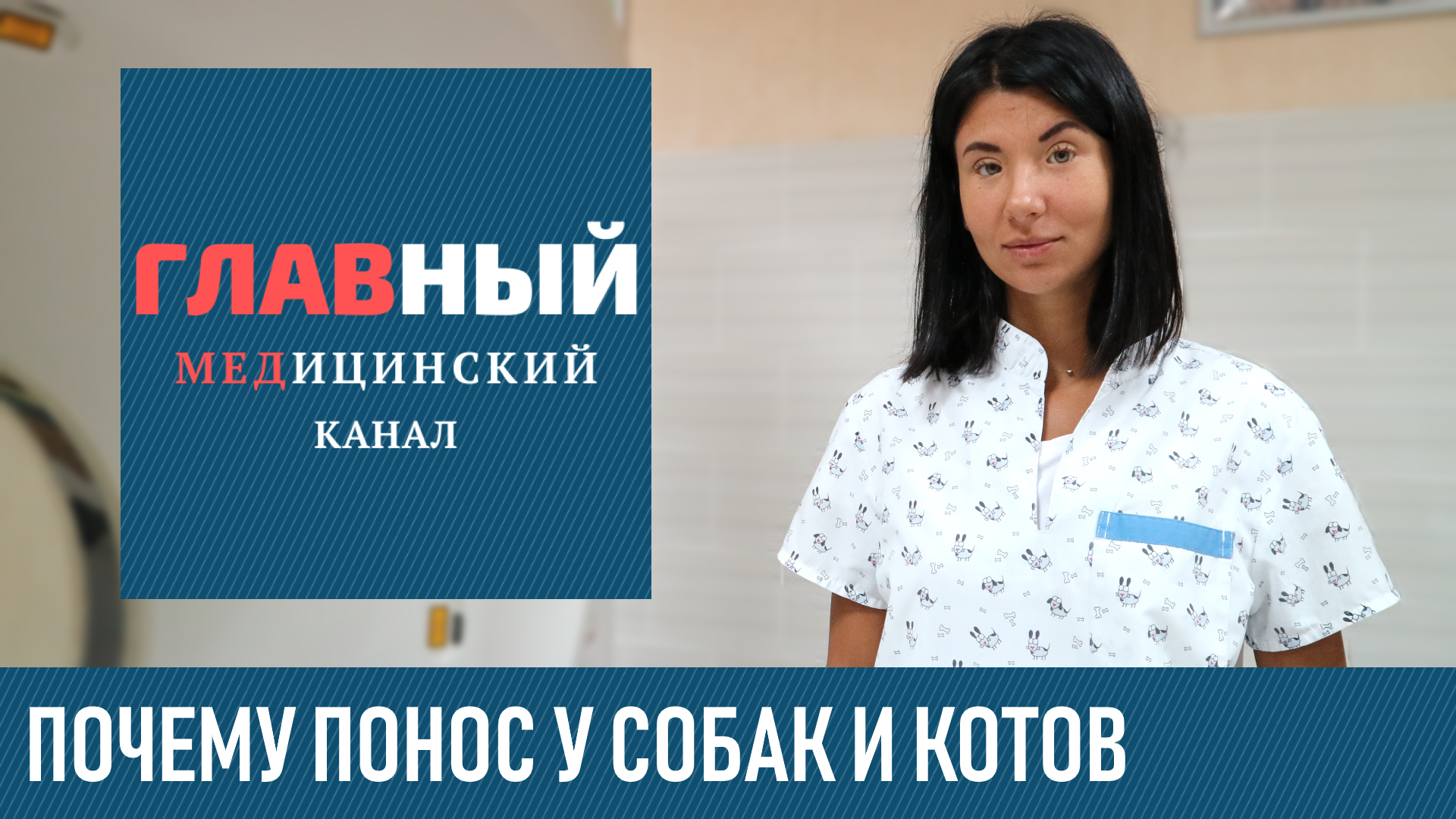 Понос у Собаки, Кота, Кошки: причины и что делать если у собаки, котенка и щенка понос и рвота смотреть онлайн
