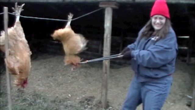 Bowser Bucket List No. 2: Kill Something And Eat It смотреть онлайн