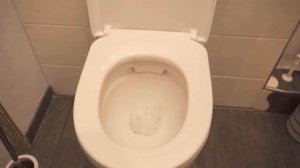 Засорился унитаз? 4 способа БЫСТРО устранить засор ? (всегда работает) ?