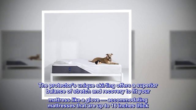 Casper Sleep Waterproof Mattress Protector, Queen, White смотреть онлайн