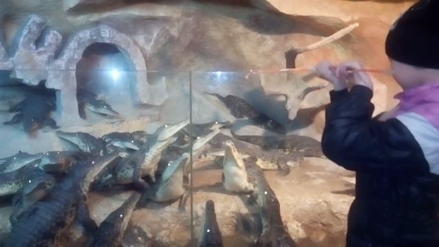 Ялта Март Экзотика! смотреть онлайн