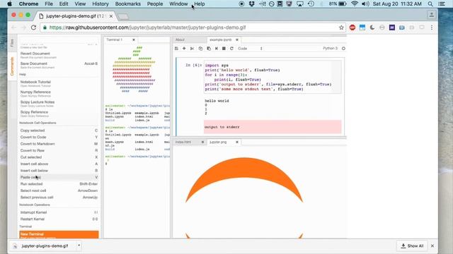 Jamie Whitacre and Matthias Bussonnier, "Project Jupyter", PyBay2016 смотреть онлайн