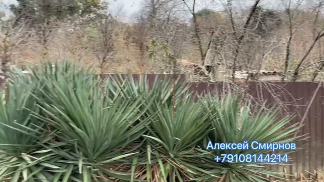 Краснодарский край, г. Сочи, с. Нижнее Учдере, пер. Атарбекова #землявсочи смотреть онлайн