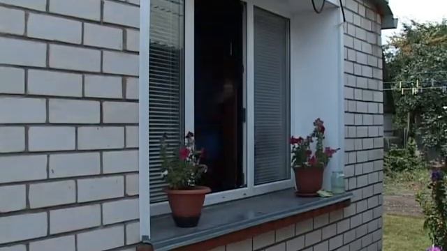 программа "полицейский вестник" выпуск №111 смотреть онлайн