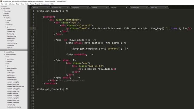 Créer un thème Wordpress (saison 1) - épisode 11/13 смотреть онлайн