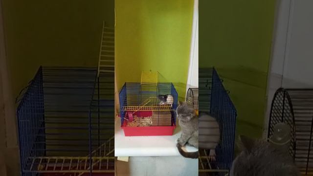 мы должны дружить смотреть онлайн