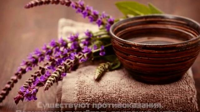 Майн Совет про шалфей смотреть онлайн