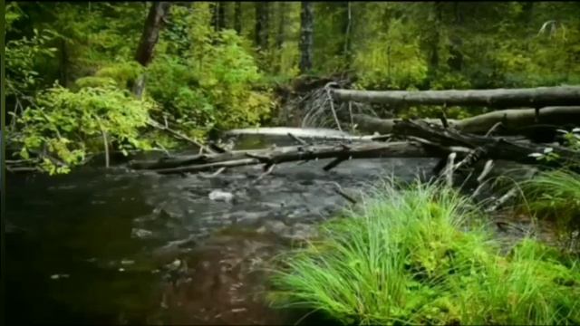 МОЩНОЕ и ЭФФЕКТИВНОЕ ОМОЛОЖЕНИЕ! МАТРИЦА ГАРЯЕВА. ПРОСТО СЛУШАЕМ ЗВУК. 21 января 2023 г. смотреть онлайн