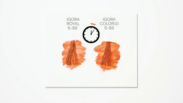 IGORA ROYAL10 Express Hair Color Treatment VS IGORA ROYAL | Schwarzkopf USA смотреть онлайн