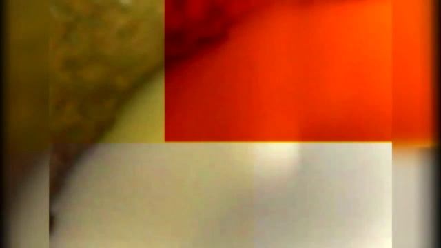 Вкусное воскресенье 28 06 2015 Салат Цезарь смотреть онлайн